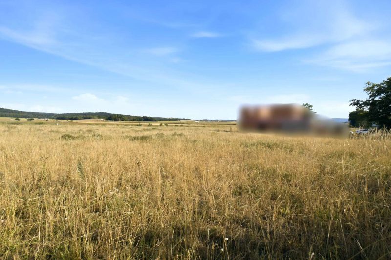 Gro�z�giges Baugrundst�ck mit eigener Zufahrt ? 1.175 m� und bis zu zwei Wohneinheiten /  / 2111&nbsp;Harmannsdorf / Bild 7